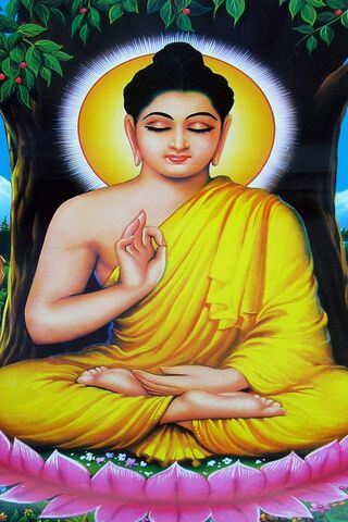 Serenity of the Buddha: A Glimpse into India’s Spiritual Heart