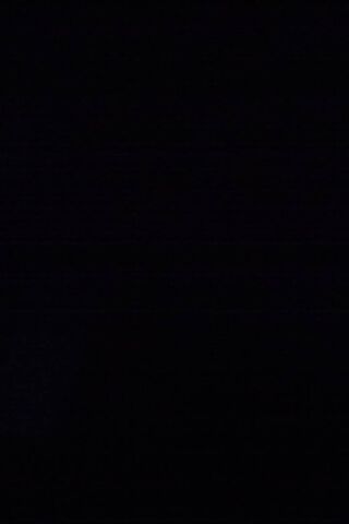 Embracing the Void: A J..