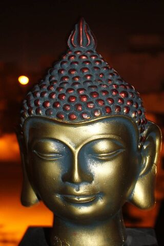The Enlightened One: A Journey to Inner Peace 🌼
