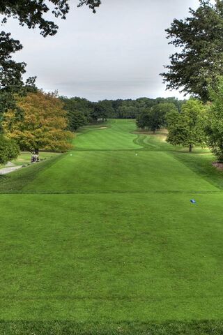 Tee Time: The Spirit of Golf ⛳️