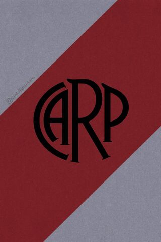 Carp Chronicles: A Bold Design