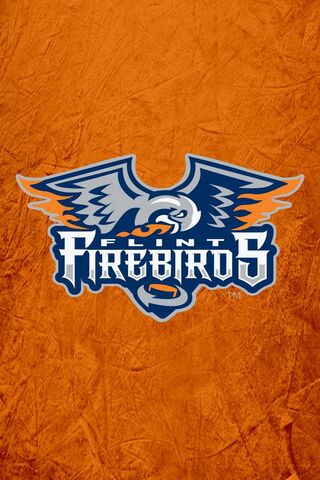Flint Firebirds: Igniting the Ice!