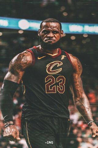 The King of the Court: ..