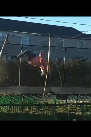 Backflip