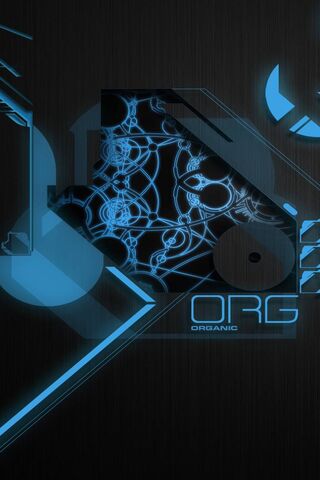 Digital Harmony: The Essence of Organization 🎨✨