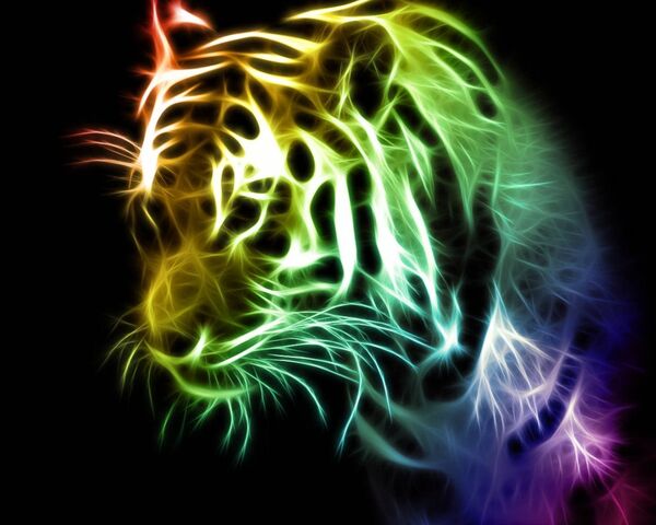 Rainbow Tiger Wallpaper - Download to your mobile from PHONEKY