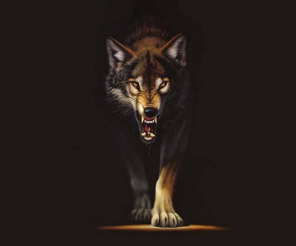 अंधेरे में भेड़िया वॉलपेपर - PHONEKY से अपने मोबाइल पर डाउनलोड करें