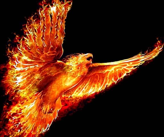 Fire Phoenix Bird Wallpaper - Download to your mobile from PHONEKY