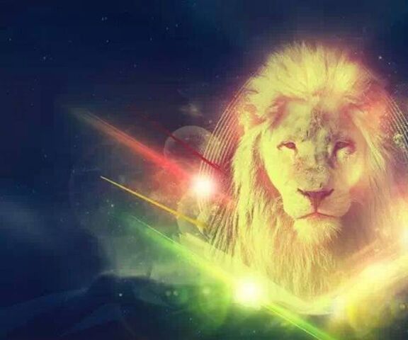 Download The roaring Lion of Judah symbolizes strength and courage   Wallpaperscom