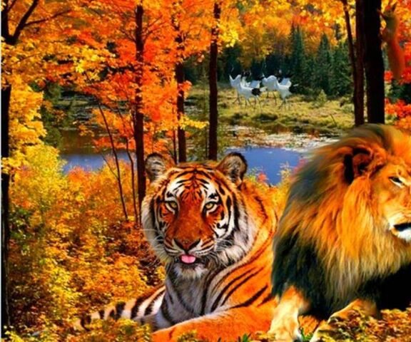 Discover more than 83 3d fire tiger wallpaper - xkldase.edu.vn