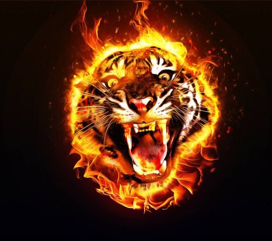 Fire Tiger Wallpaper - Download to your mobile from PHONEKY