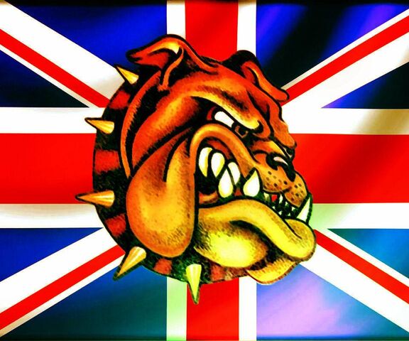 english bulldog live wallpaper APK for Android Download