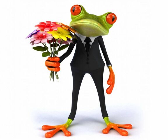 12901 Frog Wallpaper Images Stock Photos  Vectors  Shutterstock