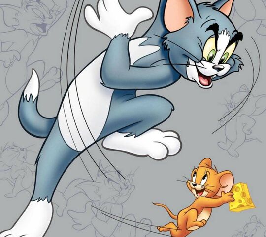 Bài học cuộc sống từ bộ phim hoạt hình Tom và Jerry  Đinh Linh Thúy
