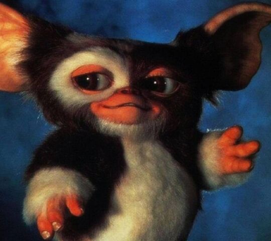 Gizmo Gremlins Wallpapers  Wallpaper Cave