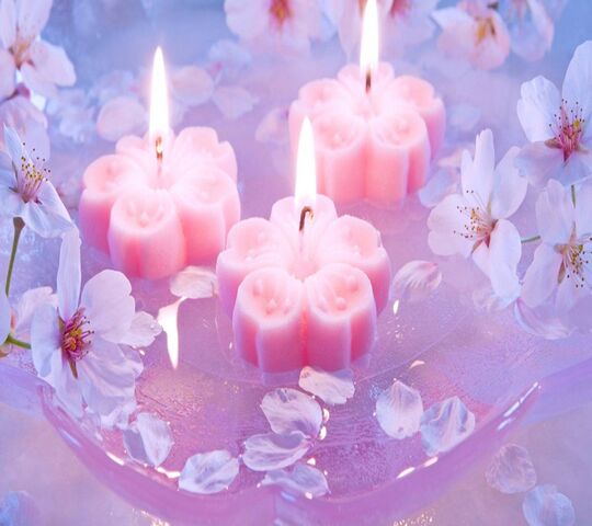 900+ Free Candle Wallpaper & Candle Images - Pixabay