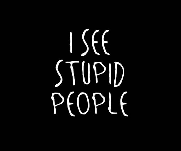 Stupid Wallpaper - Download to your mobile from PHONEKY