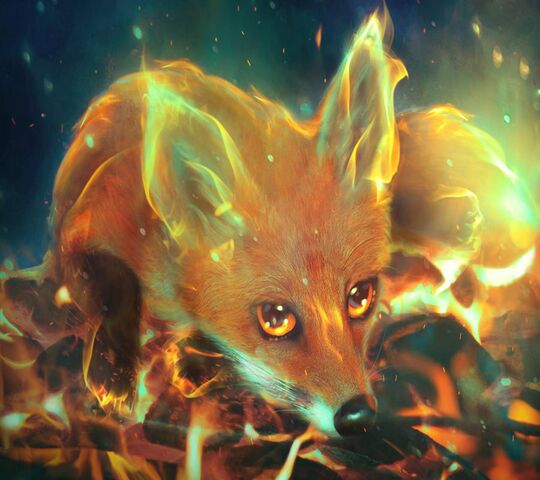 Fire Fox Wallpaper - Download to your mobile from PHONEKY