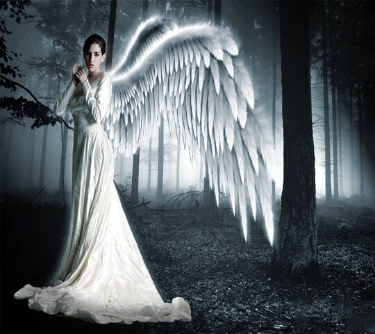 Awesome Angel Wallpaper - Download to your mobile from PHONEKY