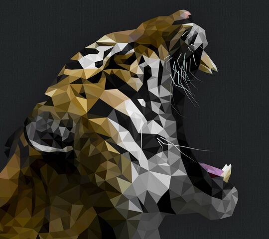 My Image 9