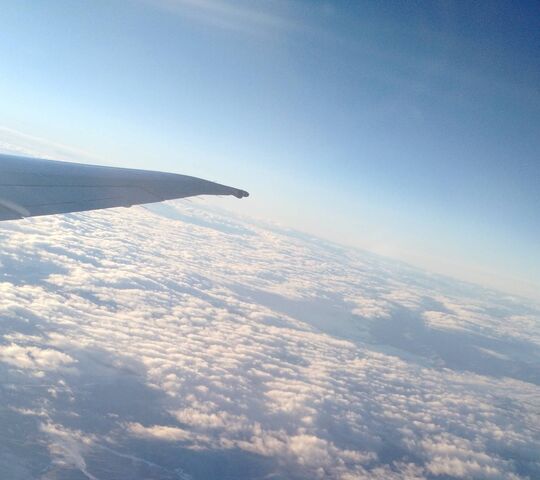 Flying The Sky