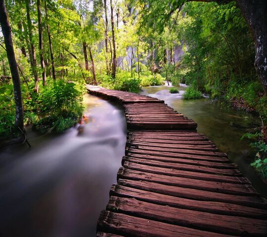 Stream Bridge Wallpaper - Download to your mobile from PHONEKY