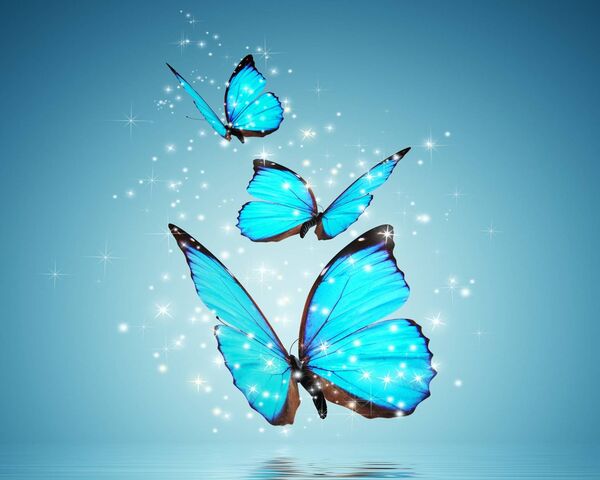 Сині метелики