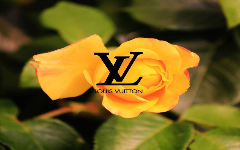 Download Orange Aesthetic Louis Vuitton Phone Wallpaper