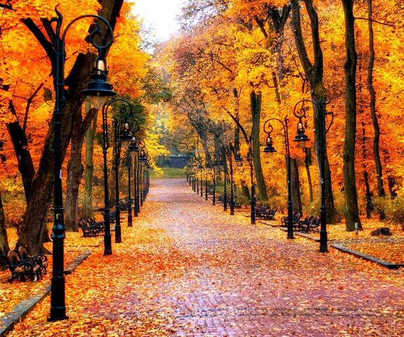 Осенняя улица, Москва