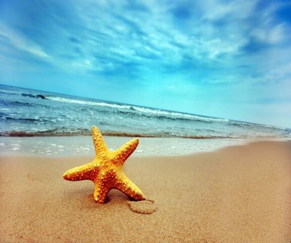 Download Fond decran de mer et plage Free
