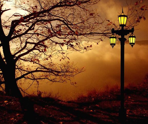 Осенняя Ночь Фото