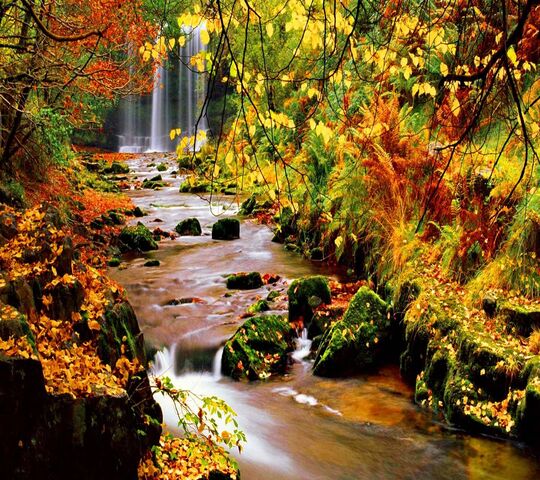 Autumn Waterfall Wallpaper - Download to your mobile from PHONEKY