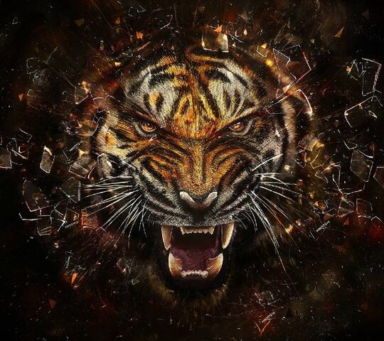 Epischer Tiger Hintergrund Lade Auf Dein Handy Von Phoneky Herunter