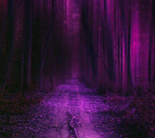 Purple Hd Forest Wallpaper - Download to your mobile from PHONEKY