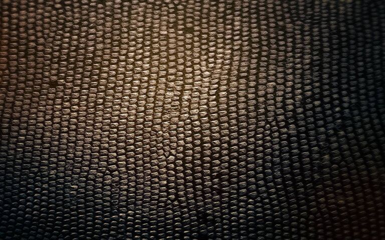 Hmmmm Wallpaper - Download to your mobile from PHONEKY