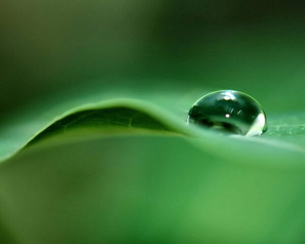 Water Drop Wallpaper - Download to your mobile from PHONEKY