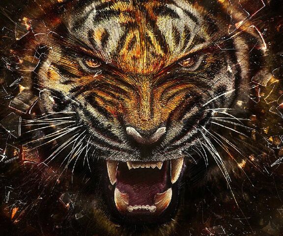 tiger face wallpaper hd