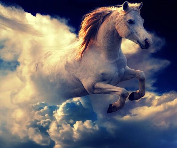White Horse Wallpaper - Download to your mobile from PHONEKY