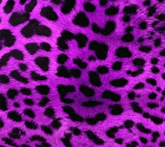 Purple Leopard Wallpaper - Download to your mobile from PHONEKY