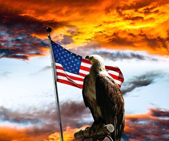 American Flag With Eagle Wallpaper 70 images