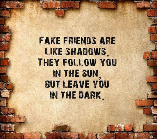 🕊️.,𝚎𝚙𝚑𝚎𝚖𝚎𝚛𝚊𝚕𝚘𝚙𝚒𝚊;;⥉ | Fake friend quotes, Friends quotes,  Fake people quotes