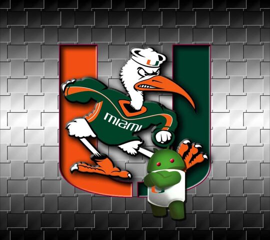 Miami Hurricanes acc college football green hurricanes miami miami  hurricanes HD phone wallpaper  Peakpx