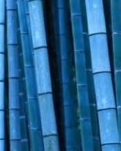 1 Blue Bamboo