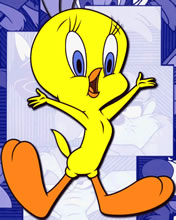Tweety Bird Wallpaper Download To Your Mobile From Phoneky