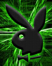 Playboy Wallpaper - Download to your mobile from PHONEKY