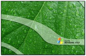 Zielony liść Vista003