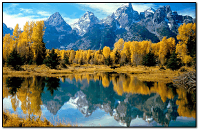 Autumn Grandeur Grand Teton National Park Wyoming