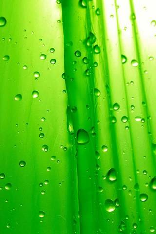 Green Drops Hd
