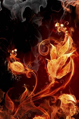 Bunga Api Wallpaper Download Ke Ponsel Anda Dari Phoneky