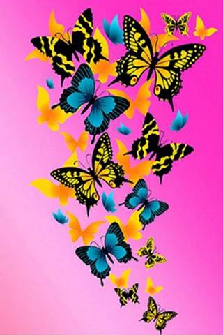 Butterflies On